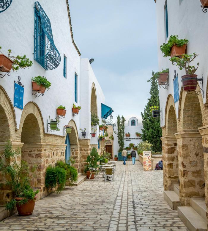 Tunisia tourisme medical